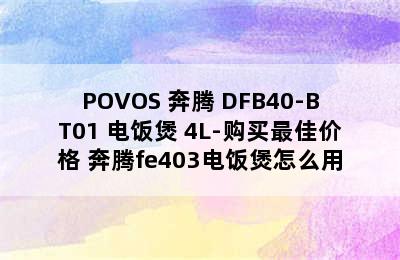 POVOS 奔腾 DFB40-BT01 电饭煲 4L-购买最佳价格 奔腾fe403电饭煲怎么用